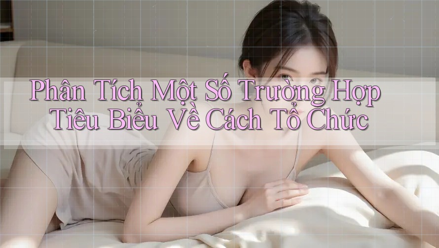 Phân Tích Một Số Trường Hợp Tiêu Biểu Về Cách Tổ Chức Phân Tích Một Số Trường Hợp Tiêu Biểu Về Cách Tổ Chức